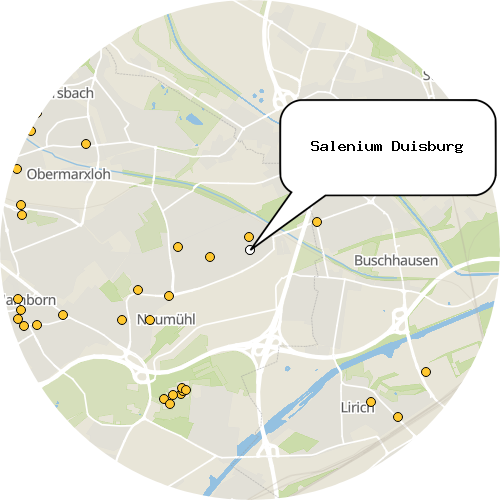 Kartenausschnitt für die Firma Salenium Duisburg