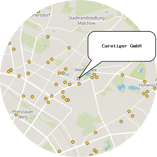 Kartenausschnitt für die Firma Caretiger GmbH