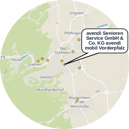 Kartenausschnitt für die Firma avendi Senioren Service GmbH & Co. KG avendi mobil Vorderpfalz