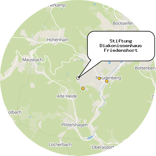 Kartenausschnitt für die Firma Stiftung Diakonissenhaus Friedenshort