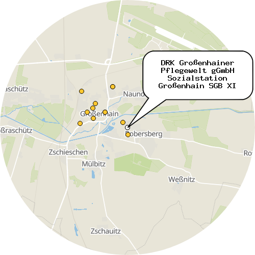 Kartenausschnitt für die Firma DRK Großenhainer Pflegewelt gGmbH Sozialstation Großenhain SGB XI