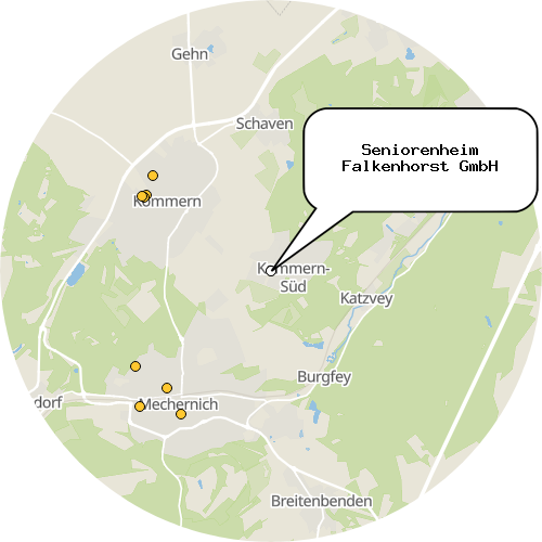 Kartenausschnitt für die Firma Seniorenheim Falkenhorst GmbH