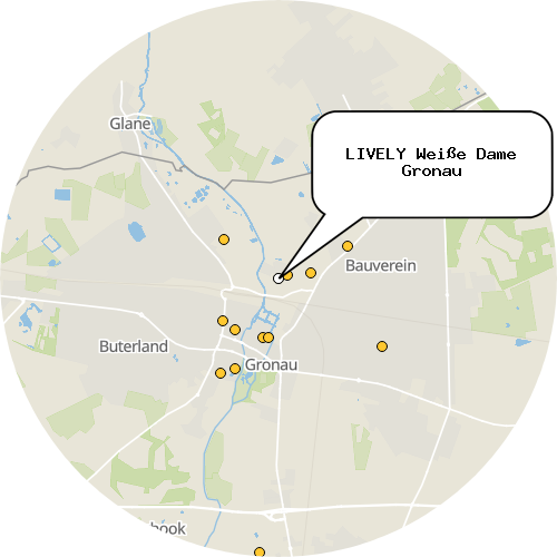 Kartenausschnitt für die Firma LIVELY Weiße Dame Gronau