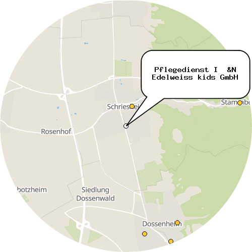 Kartenausschnitt für die Firma Pflegedienst I  &N Edelweiss kids GmbH