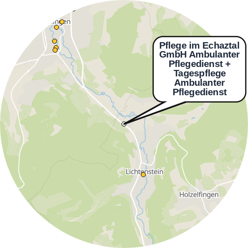 Kartenausschnitt für die Firma Pflege im Echaztal GmbH Ambulanter Pflegedienst + Tagespflege Ambulanter Pflegedienst