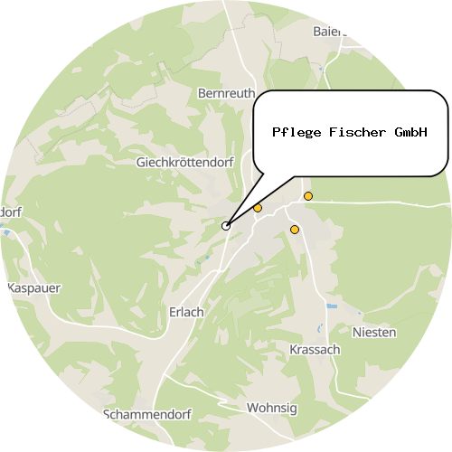 Kartenausschnitt für die Firma Pflege Fischer GmbH
