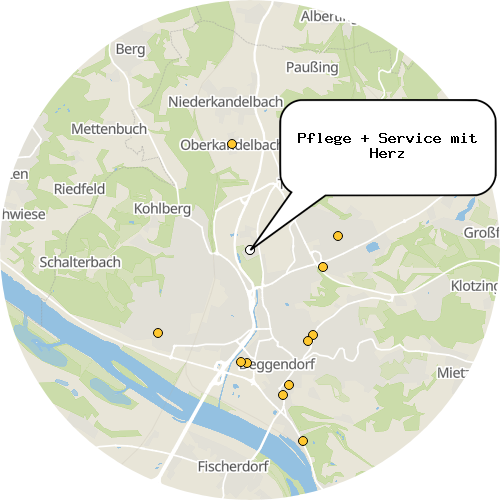 Kartenausschnitt für die Firma Pflege + Service mit Herz