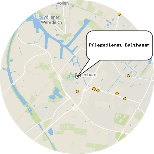 Kartenausschnitt für die Firma Pflegedienst Balthasar
