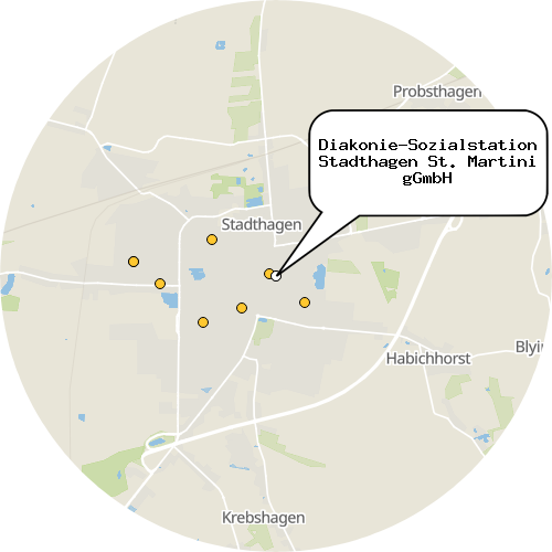 Kartenausschnitt für die Firma Diakonie-Sozialstation Stadthagen St. Martini gGmbH