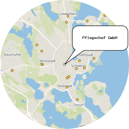 Kartenausschnitt für die Firma Pflegechef GmbH