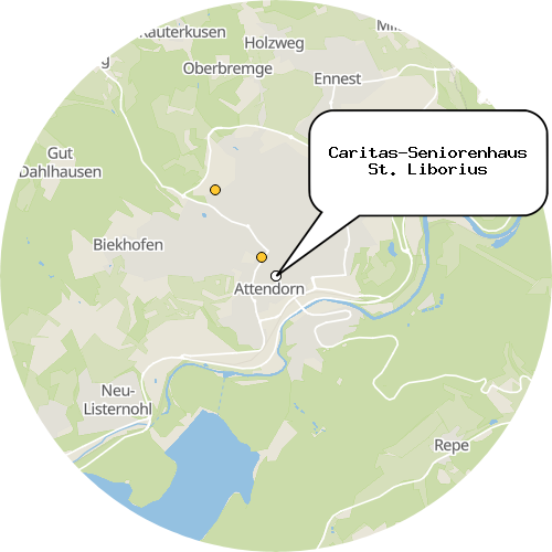 Kartenausschnitt für die Firma Caritas-Seniorenhaus St. Liborius