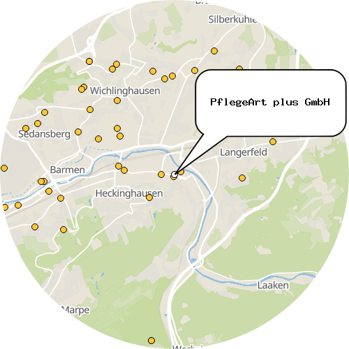 Kartenausschnitt für die Firma PflegeArt plus GmbH