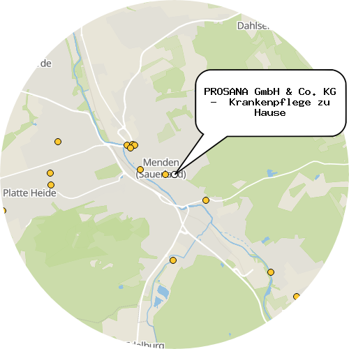 Kartenausschnitt für die Firma PROSANA GmbH & Co. KG -  Krankenpflege zu Hause