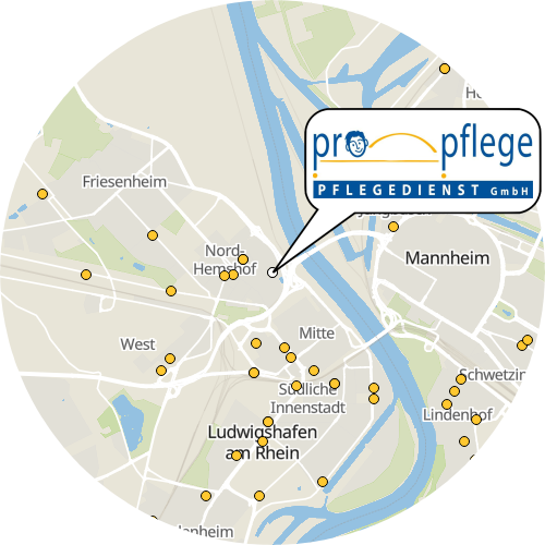 Kartenausschnitt für die Firma PRO-Pflege Pflegedienst GmbH