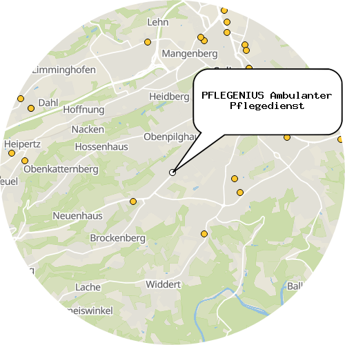 Kartenausschnitt für die Firma PFLEGENIUS Ambulanter Pflegedienst