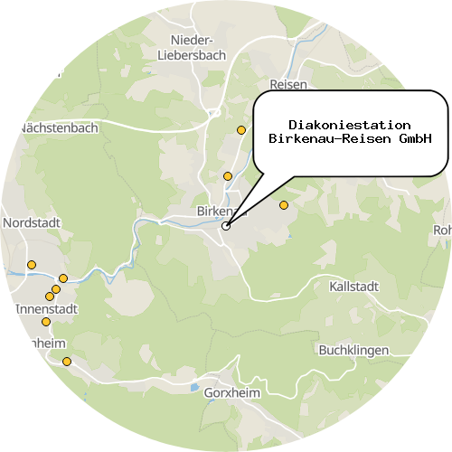Kartenausschnitt für die Firma Diakoniestation Birkenau-Reisen GmbH