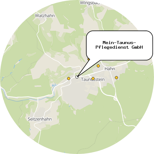 Kartenausschnitt für die Firma Mein-Taunus- Pflegedienst GmbH