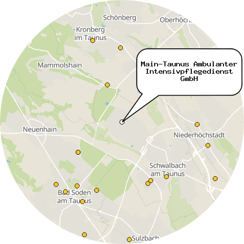 Kartenausschnitt für die Firma Main-Taunus Ambulanter Intensivpflegedienst GmbH