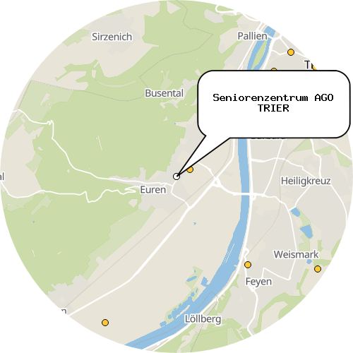 Kartenausschnitt für die Firma Seniorenzentrum AGO TRIER