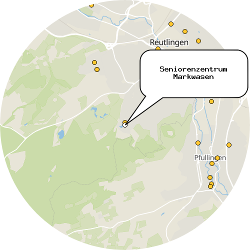 Kartenausschnitt für die Firma Seniorenzentrum Markwasen