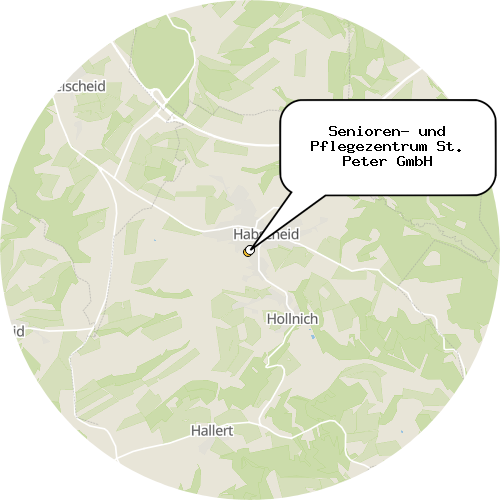 Kartenausschnitt für die Firma Senioren- und Pflegezentrum St. Peter GmbH