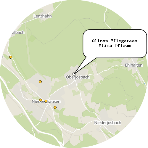 Kartenausschnitt für die Firma Alinas Pflegeteam Alina Pflaum