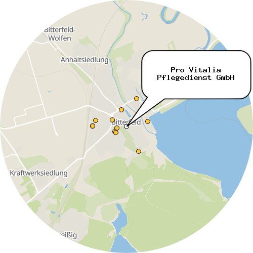 Kartenausschnitt für die Firma Pro Vitalia Pflegedienst GmbH