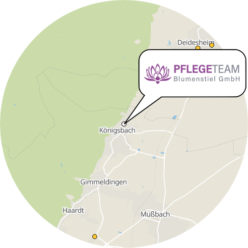 Kartenausschnitt für die Firma Pflegeteam Blumenstiel GmbH