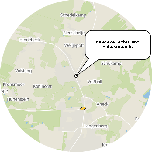 Kartenausschnitt für die Firma newcare ambulant Schwanewede