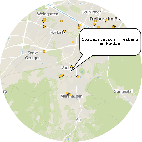 Kartenausschnitt für die Firma Sozialstation Freiberg am Neckar