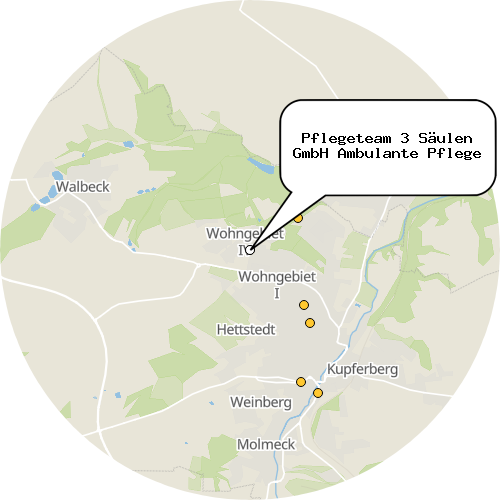 Kartenausschnitt für die Firma Pflegeteam 3 Säulen GmbH Ambulante Pflege