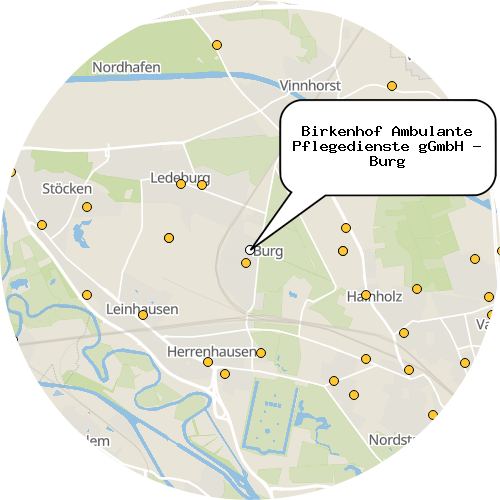 Kartenausschnitt für die Firma Birkenhof Ambulante Pflegedienste gGmbH - Burg