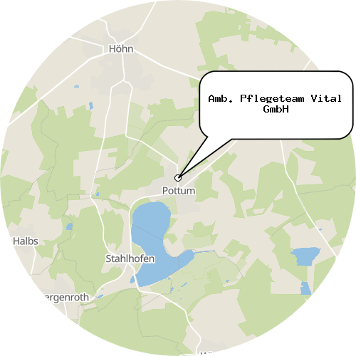 Kartenausschnitt für die Firma Amb. Pflegeteam Vital GmbH