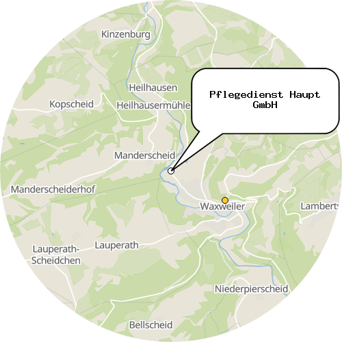 Kartenausschnitt für die Firma Pflegedienst Haupt GmbH