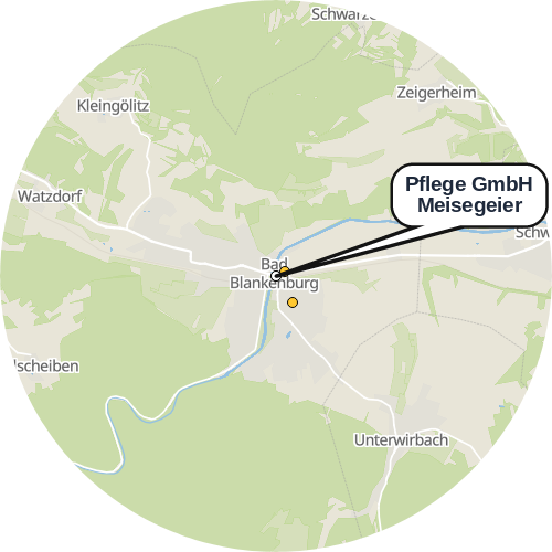 Kartenausschnitt für die Firma Pflege GmbH Meisegeier