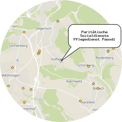 Kartenausschnitt für die Firma Paritätische Sozialdienste Pflegedienst Pasodi