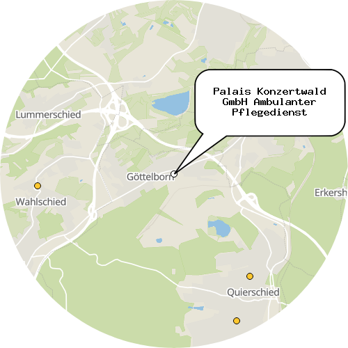 Kartenausschnitt für die Firma Palais Konzertwald GmbH Ambulanter Pflegedienst