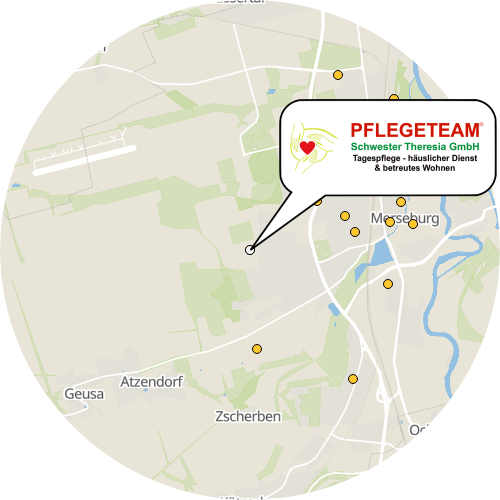 Kartenausschnitt für die Firma PFLEGETEAM Schwester Theresia GmbH