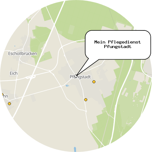 Kartenausschnitt für die Firma Mein Pflegedienst Pfungstadt