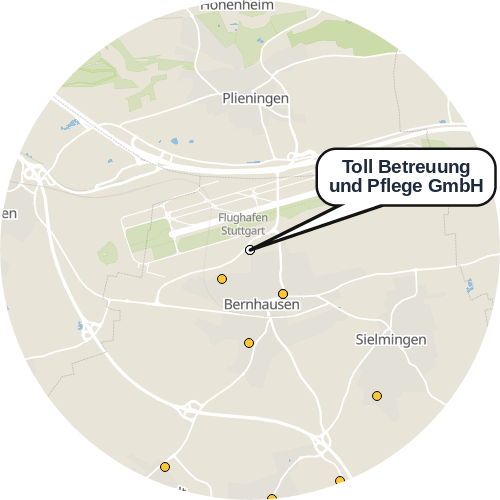 Kartenausschnitt für die Firma Toll Betreuung und Pflege GmbH