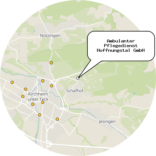 Kartenausschnitt für die Firma Ambulanter Pflegedienst Hoffnungstal GmbH