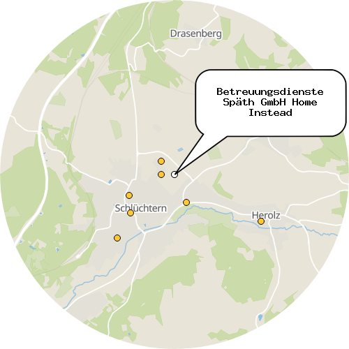 Kartenausschnitt für die Firma Betreuungsdienste Späth GmbH Home Instead