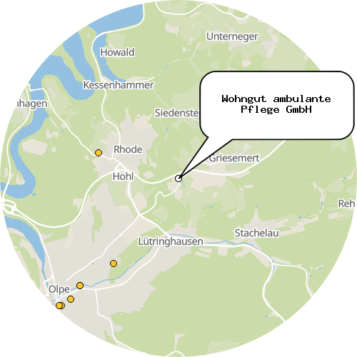 Kartenausschnitt für die Firma Wohngut ambulante Pflege GmbH