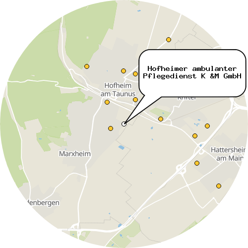 Kartenausschnitt für die Firma Hofheimer ambulanter Pflegedienst K &M GmbH