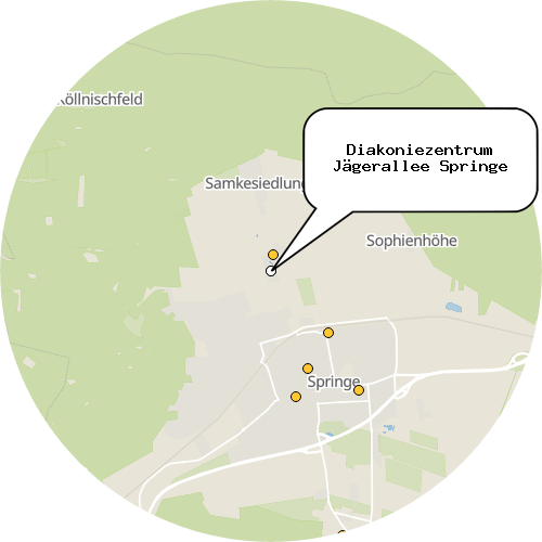 Kartenausschnitt für die Firma Diakoniezentrum Jägerallee Springe