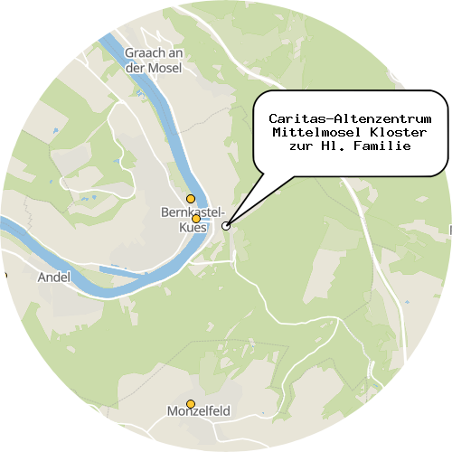 Kartenausschnitt für die Firma Caritas-Altenzentrum Mittelmosel Kloster zur Hl. Familie
