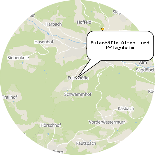 Kartenausschnitt für die Firma Eulenhöfle Alten- und Pflegeheim