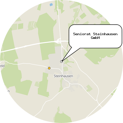 Kartenausschnitt für die Firma Seniorat Steinhausen GmbH