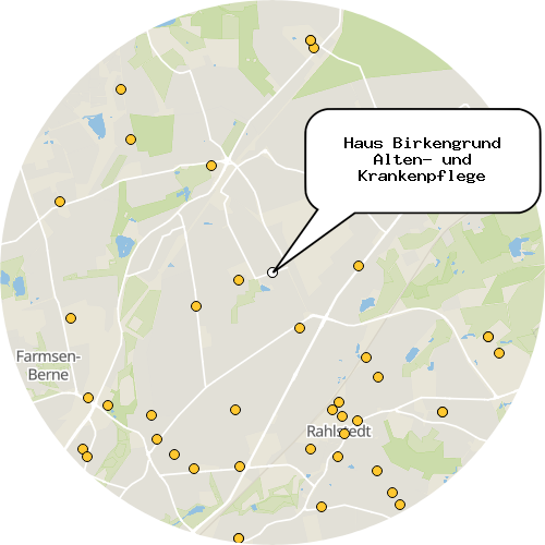 Kartenausschnitt für die Firma Haus Birkengrund Alten- und Krankenpflege