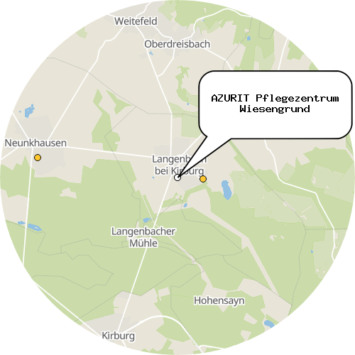 Kartenausschnitt für die Firma AZURIT Pflegezentrum Wiesengrund